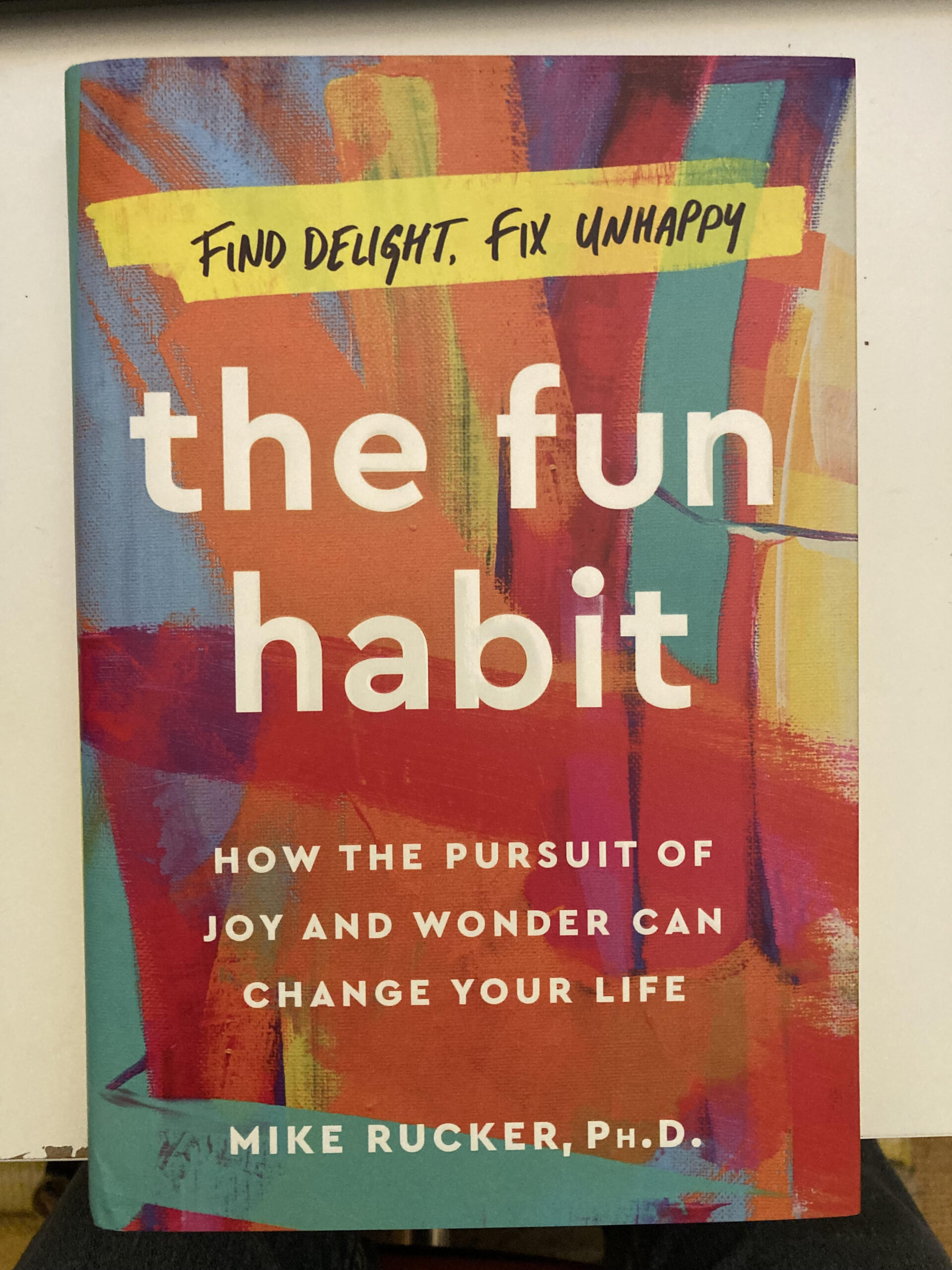 Angie's artwork featured on the cover of The Fun Habit by Mike Rucker